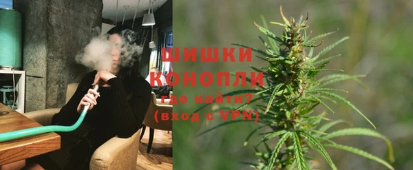 стаф Богородск