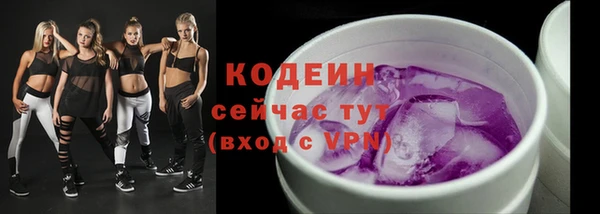 таблы Богородицк