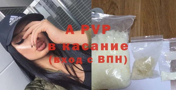 стаф Богородск