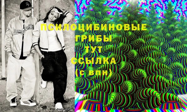 стаф Богородск